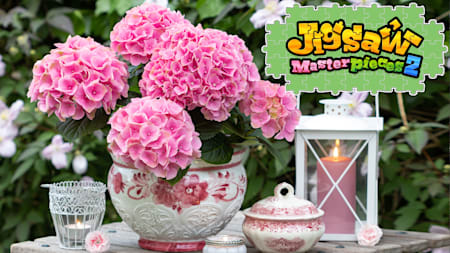 Moments of Floral Delight