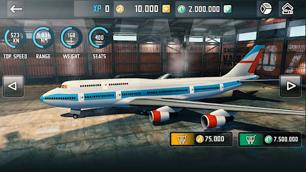 Airplane Flight Simulator