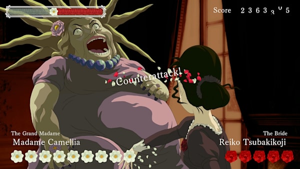 Rose & Camellia Collection for Nintendo Switch - Nintendo