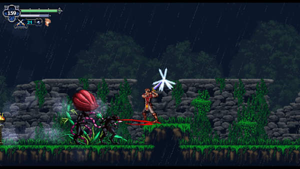 Chronicles of the Wolf for Nintendo Switch - Nintendo Official Site