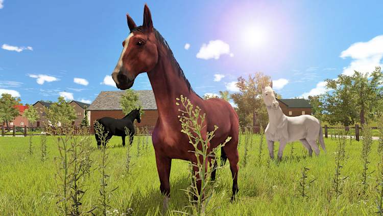 My Little Riding Champion for Nintendo Switch - Nintendo