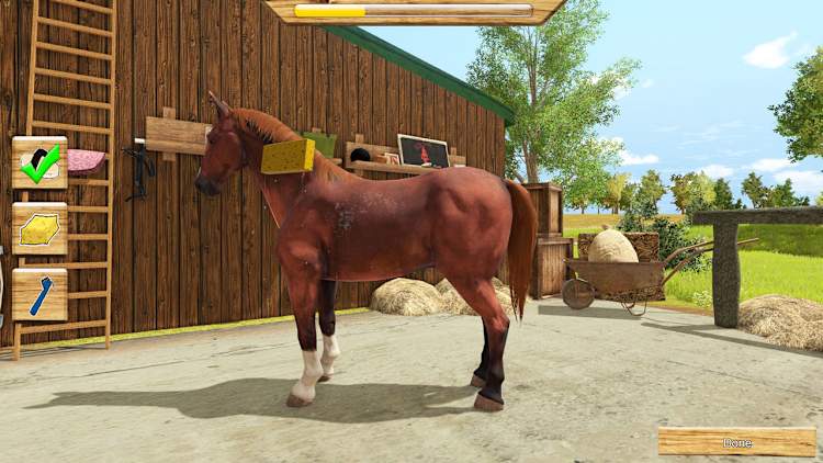 My Little Riding Champion for Nintendo Switch - Nintendo