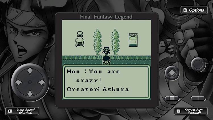 ニンテンドーDS サガ 2 3 セット Nintendo DS SaGa Final