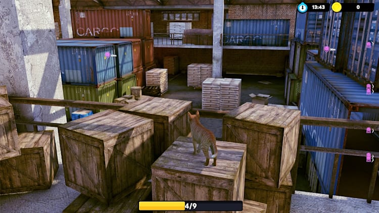 Little Strays NSP, XCI ROM