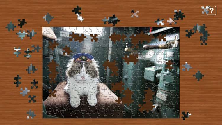 Station Master Cat in Japan / Kenta Igarashi for Nintendo