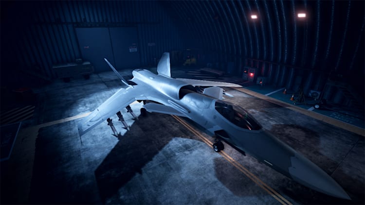 ACE COMBAT™7: SKIES UNKNOWN - ASF-X Shinden II Set for