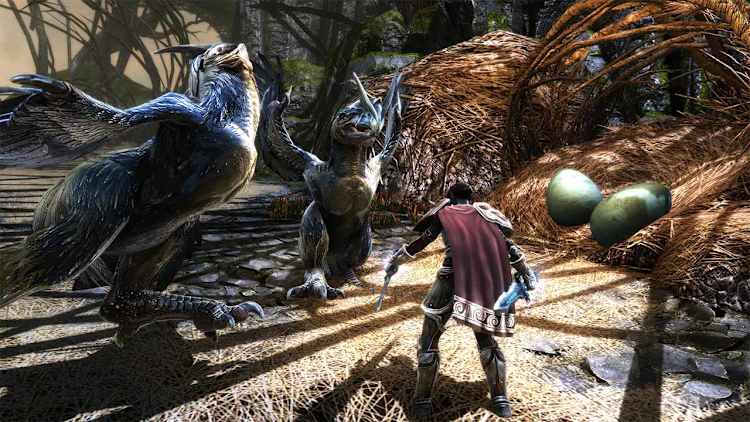 Kingdoms of Amalur: Re-Reckoning para Nintendo Switch - Site