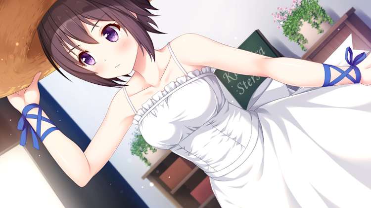 Kirakira stars idol project Nagisa for Nintendo Switch - Nintendo
