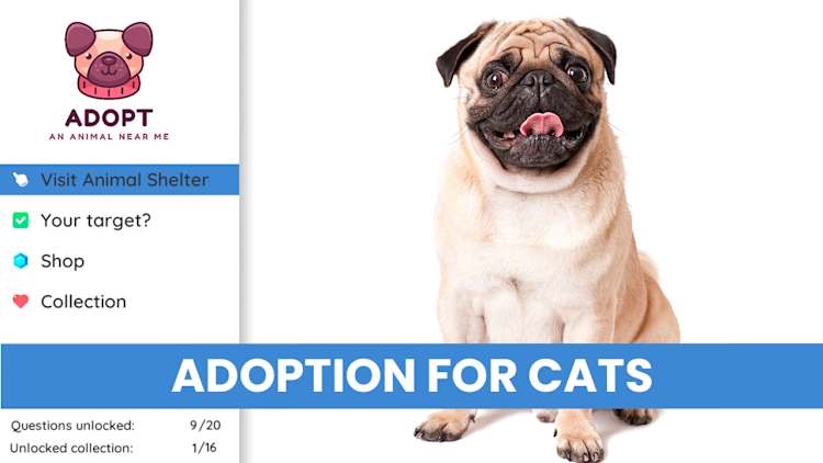 Adopt an Animal Near Me