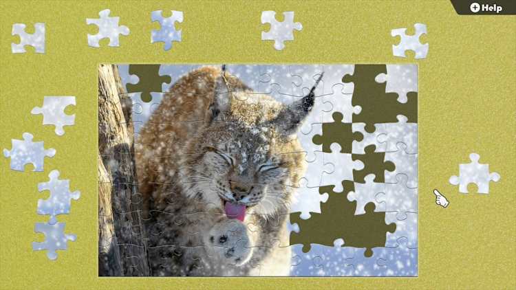 Wildlife in the Snow for Nintendo Switch - Nintendo Official Site