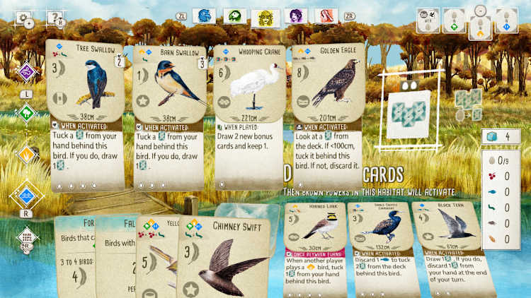 Birds and Cats - Image 1