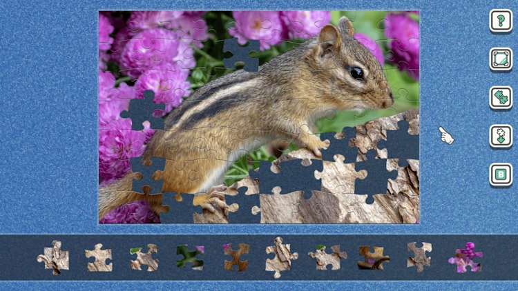 Additional Puzzle Pack Set Vol.18 for Nintendo Switch - Nintendo