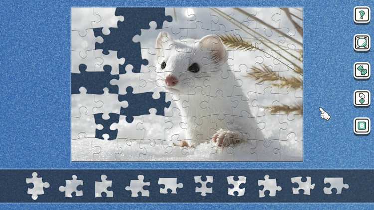 Additional Puzzle Pack Set Vol.19 for Nintendo Switch - Nintendo