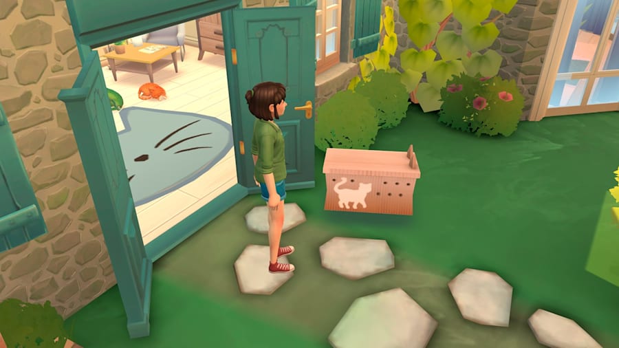 Cat Rescue Story NSP, XCI ROM