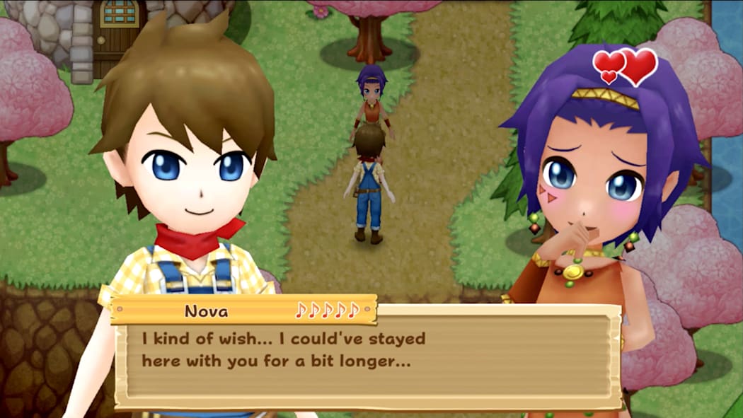 Harvest Moon: Light of Hope Special Edition Screenshot 2