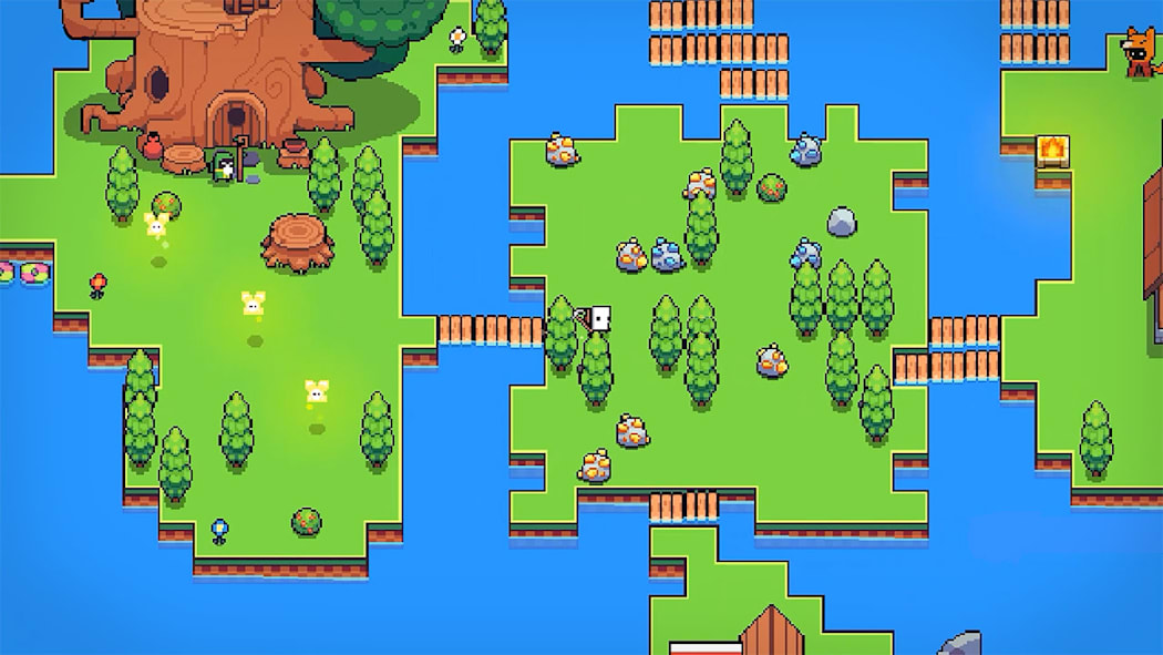 Forager 6