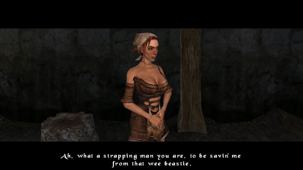 The Bard's Tale ARPG: Remastered and Resnarkled 3