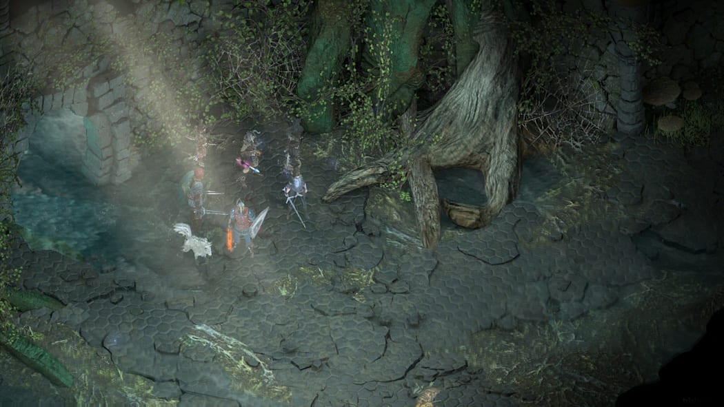 Image 3