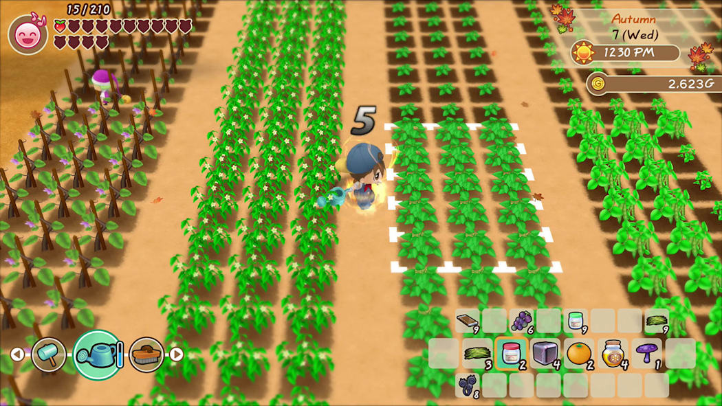 STORY OF SEASONS: Friends of Mineral Town 6