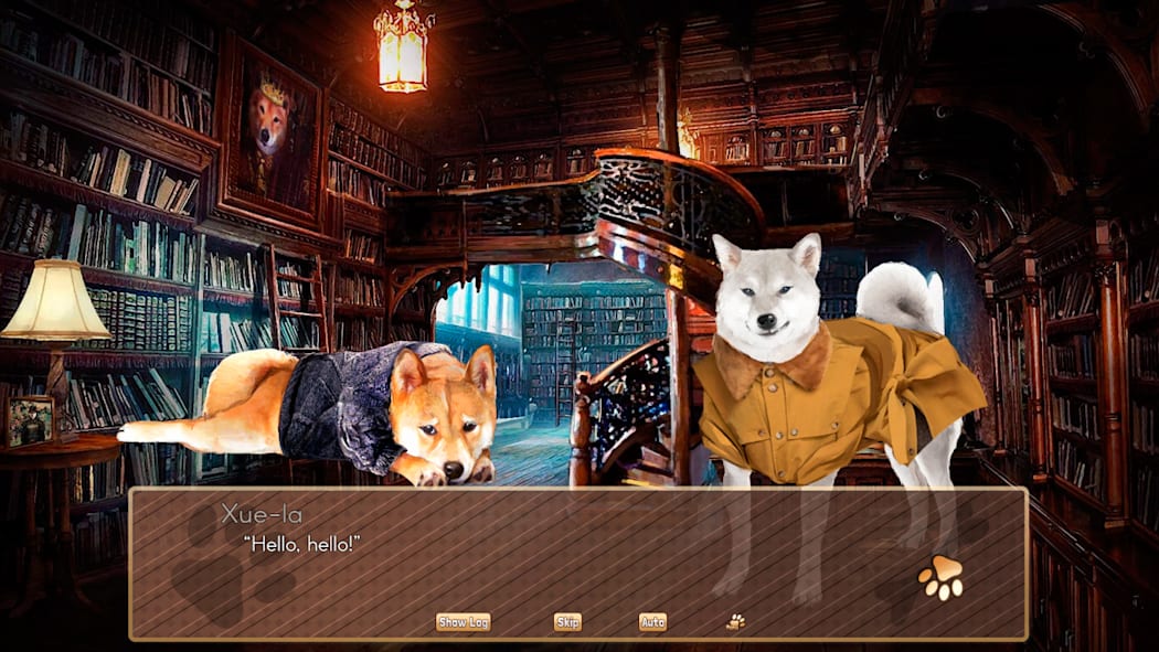A Summer with the Shiba Inu 8