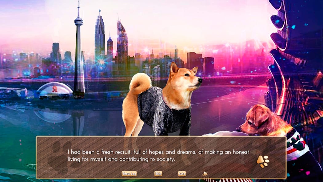 A Summer with the Shiba Inu 3