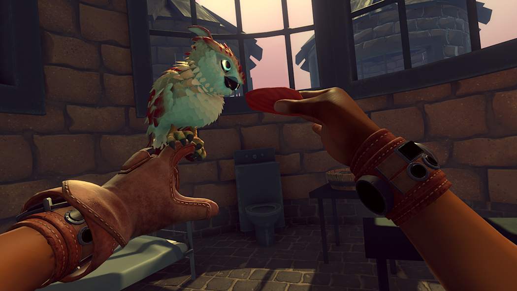 Falcon Age 4