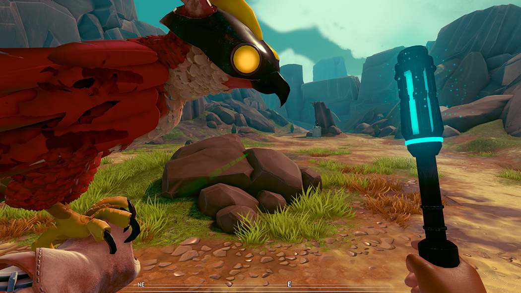 Falcon Age 7