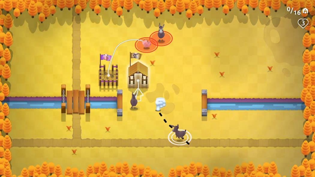 Crowdy Farm Rush 7