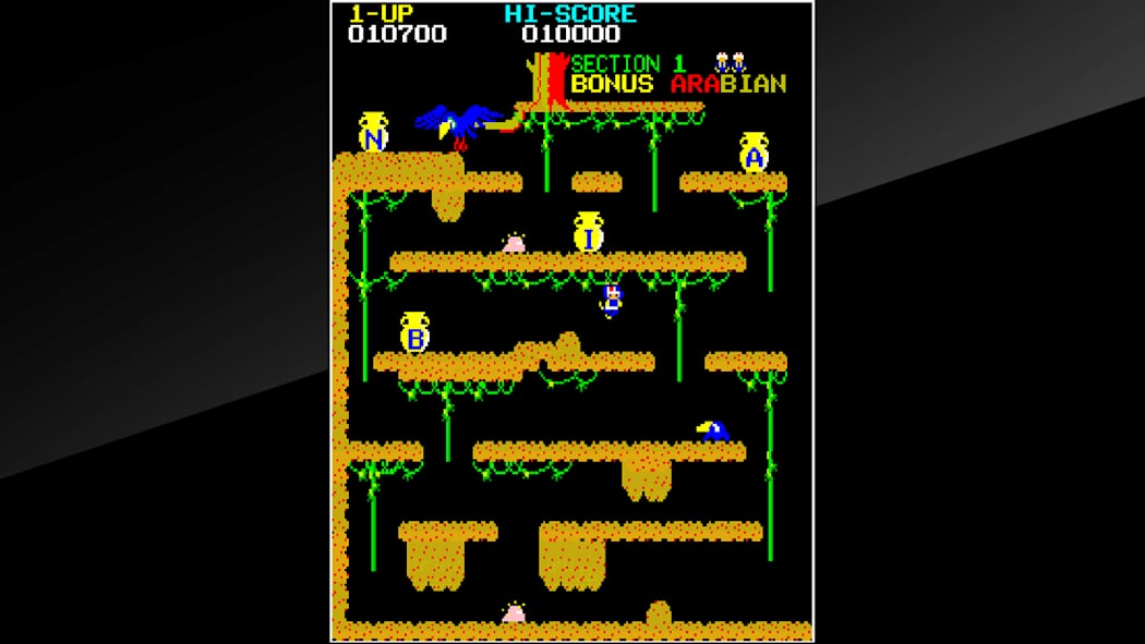 Arcade Archives ARABIAN 5