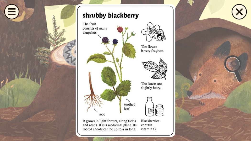 Little Mouse's Encyclopedia 6