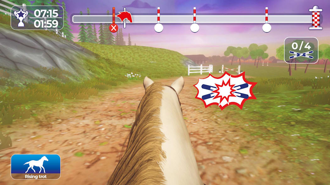 Equestrian Training 2