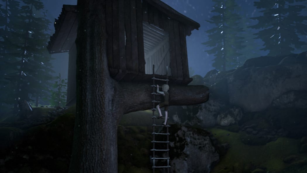 Image 5