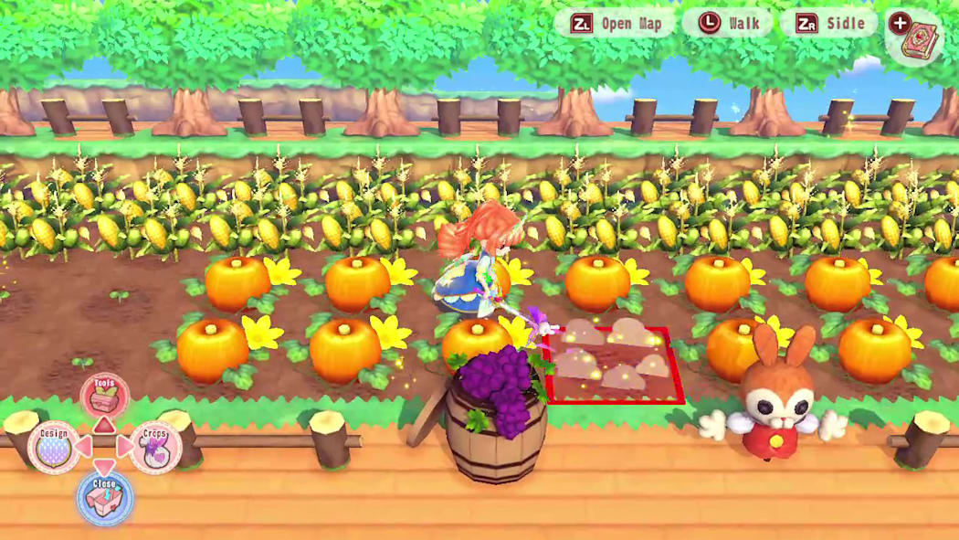 Pretty Princess Magical Garden Island NSP, XCI ROM