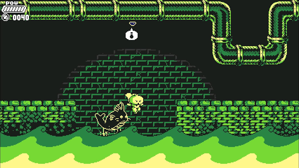 Garlic 8
