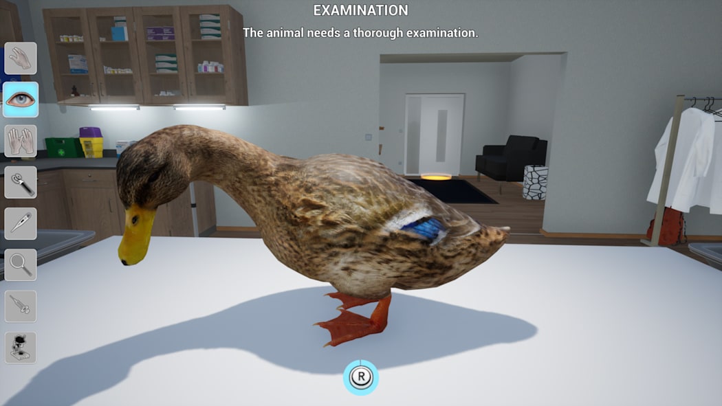 My Life: Farm Vet 5