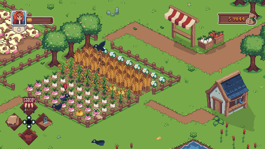 Tiny Little Farm 4
