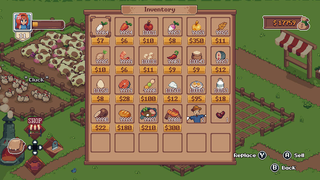 Tiny Little Farm 7