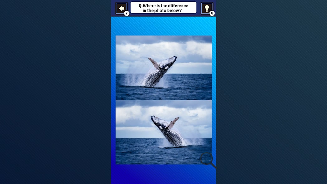 Train Your Brain! Spot the Difference with fish photos 4