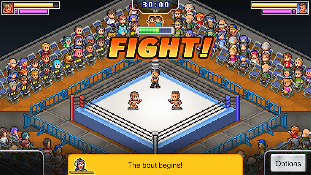 Pro Wrestler Story 3