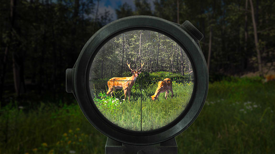 Hunter Simulator : Wild Hunting 6