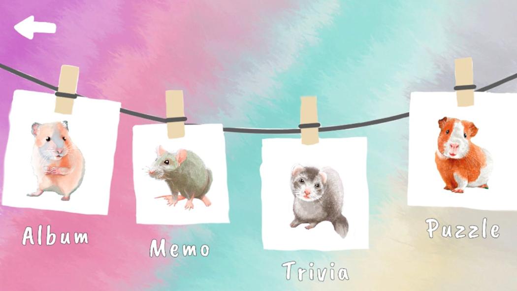 Pets and Friends 4