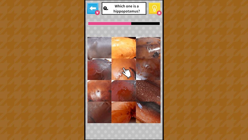 Brain Challenge Spot the Real One! 5