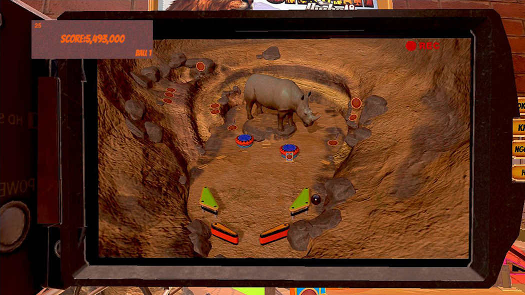 Safari Pinball 5
