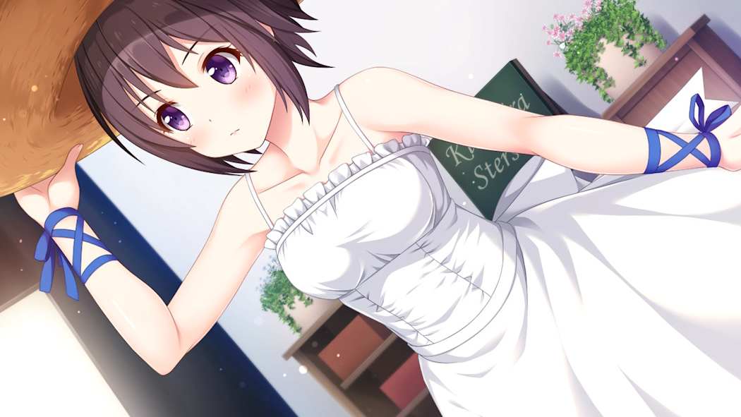 图片[1]-[NS]爱的闪耀偶像企划：Nagisa|Kirakira Stars Idol Project Nagisa中文-猫叔电玩