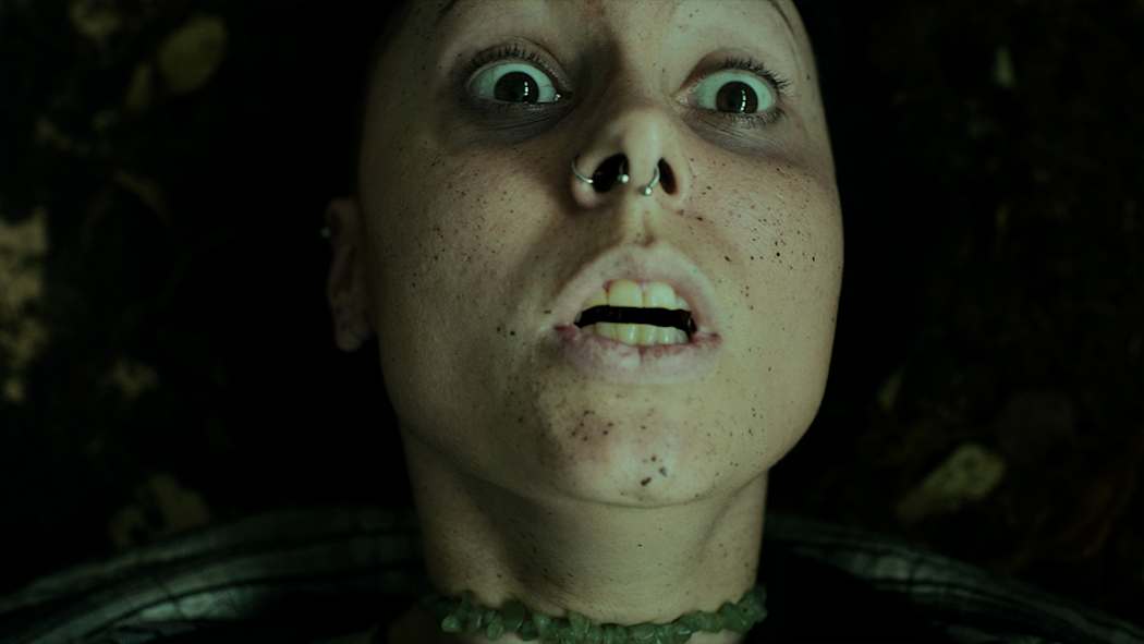 Heart of the Forest 7