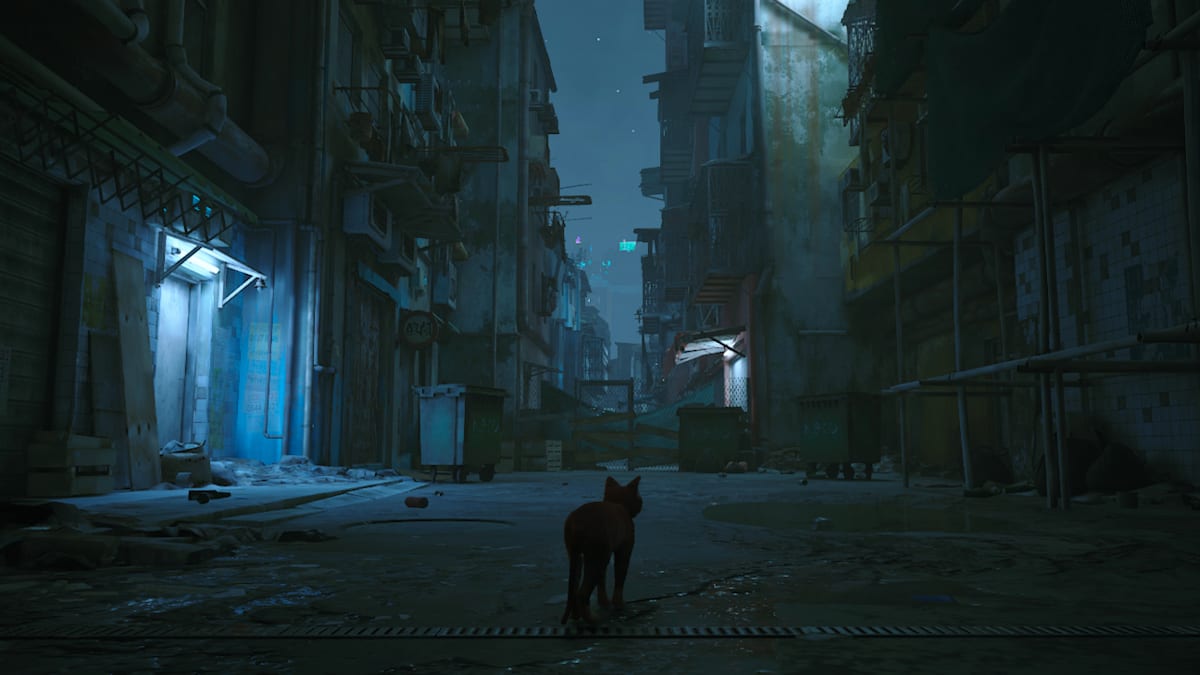 Stray 6