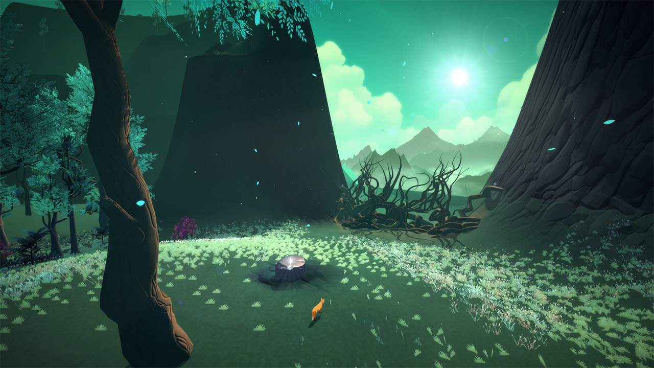 The First Tree 6