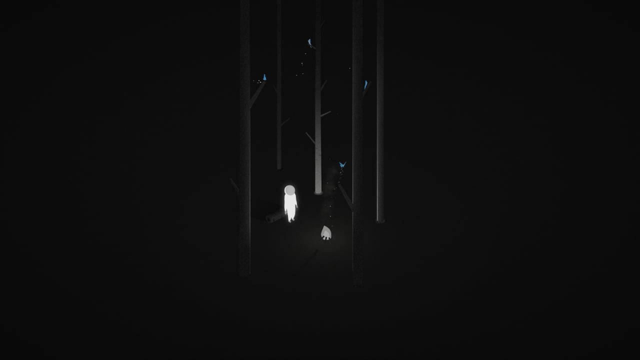 Starman 8