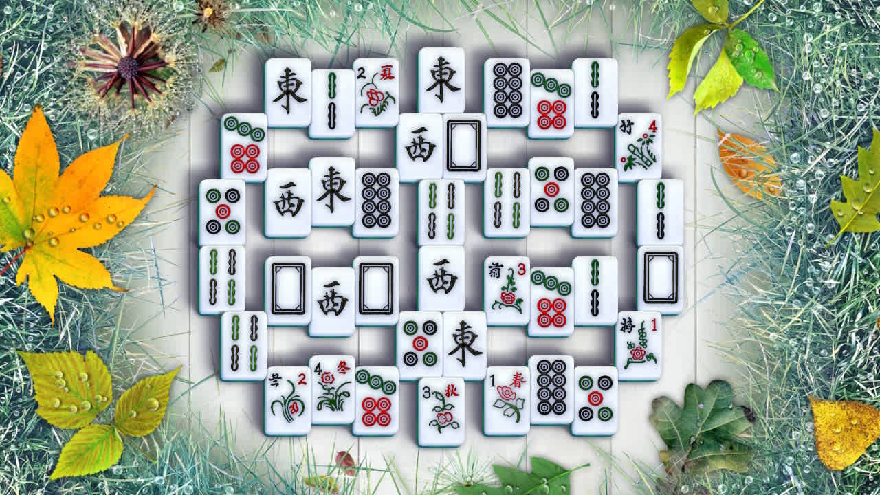 Pure Mahjong 5