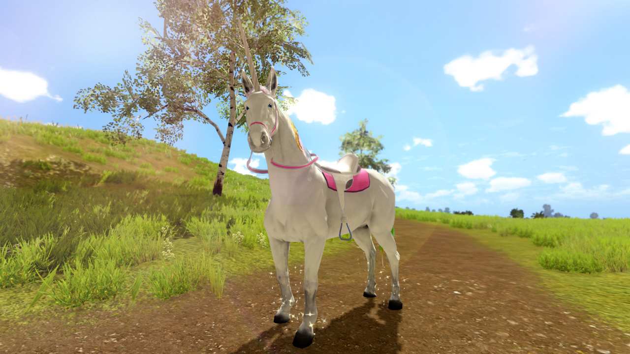The Unicorn Princess 6